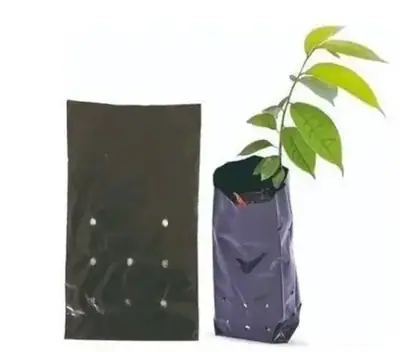 Saco para mudas 20×30 cm